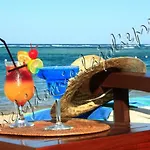 Hyeres, Magnifique Parc De La Presqu'ile Avec Piscine Et Face A Porquerolles ! * 耶尔