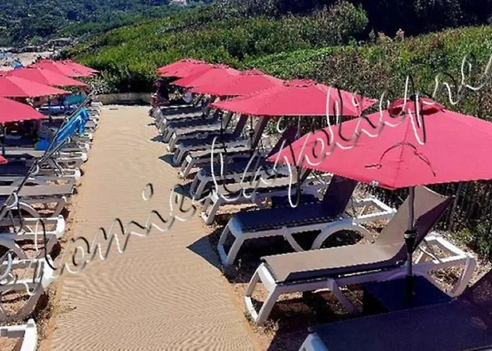 Lejlighed Hyeres, Magnifique Parc De La Presqu'ile Avec Piscine Et Face A Porquerolles ! Hyères