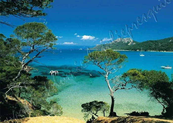 Lejlighed Hyeres, Magnifique Parc De La Presqu'ile Avec Piscine Et Face A Porquerolles ! Hyères