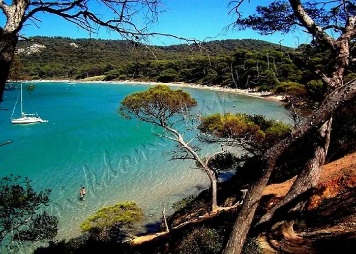 Hyeres, Magnifique Parc De La Presqu'ile Avec Piscine Et Face A Porquerolles !
