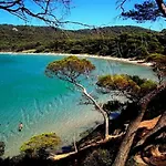 Magnifique Parc De La Presqu'île Avec Piscine Et Face à Porquerolles !