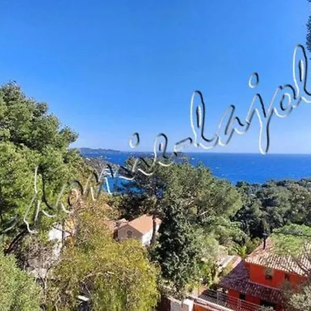 Hyeres, Magnifique Parc De La Presqu'ile Avec Piscine Et Face A Porquerolles ! Lejlighed *