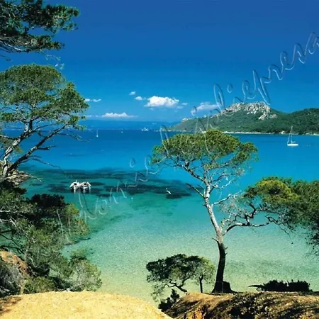 Appartement Magnifique Parc De La Presqu'île Avec Piscine Et Face à Porquerolles ! Hyères