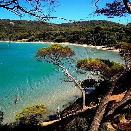 Hyeres, Magnifique Parc De La Presqu'ile Avec Piscine Et Face A Porquerolles !