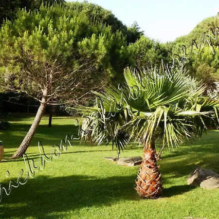 Magnifique Parc De La Presqu'île Avec Piscine Et Face à Porquerolles ! * Hyères
