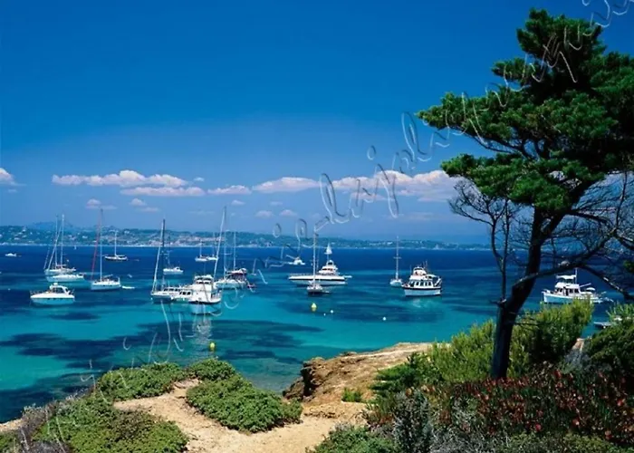 Hyeres, Magnifique Parc De La Presqu'ile Avec Piscine Et Face A Porquerolles ! * Hyeres