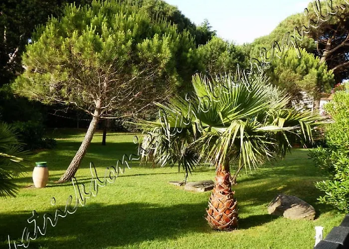 Hyeres, Magnifique Parc De La Presqu'ile Avec Piscine Et Face A Porquerolles ! * Hyeres