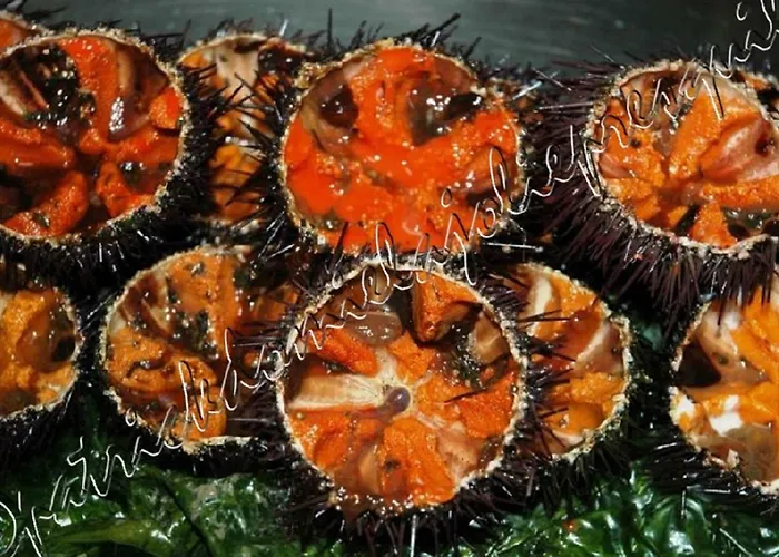 Hyeres, Magnifique Parc De La Presqu'ile Avec Piscine Et Face A Porquerolles ! Apartment